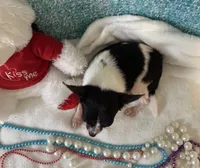 processed/c05f2d34-157c-4b76-80a2-ad46081e55c7/listing/3843e170-8950-4250-9435-eab0f698d0c3/fae504a9-789c-43d3-a228-5f8dc68eb792