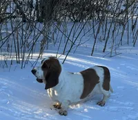 processed/c05f2d34-157c-4b76-80a2-ad46081e55c7/listing/b1091a2d-66cd-413a-88f0-21775d221af1/5541603d-c5d1-4c6e-9b86-1629aef425d2