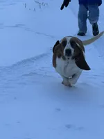 processed/c05f2d34-157c-4b76-80a2-ad46081e55c7/listing/b1091a2d-66cd-413a-88f0-21775d221af1/89a7dbea-842e-47f7-8c6e-a99b5d912492