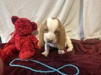 processed/c05f2d34-157c-4b76-80a2-ad46081e55c7/listing/b1091a2d-66cd-413a-88f0-21775d221af1/af5b5f3e-d8eb-4fbd-9b46-dcee939d772c