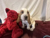 processed/c05f2d34-157c-4b76-80a2-ad46081e55c7/listing/b1091a2d-66cd-413a-88f0-21775d221af1/d7a4c7c8-f2e4-4732-8da0-0567d9007703