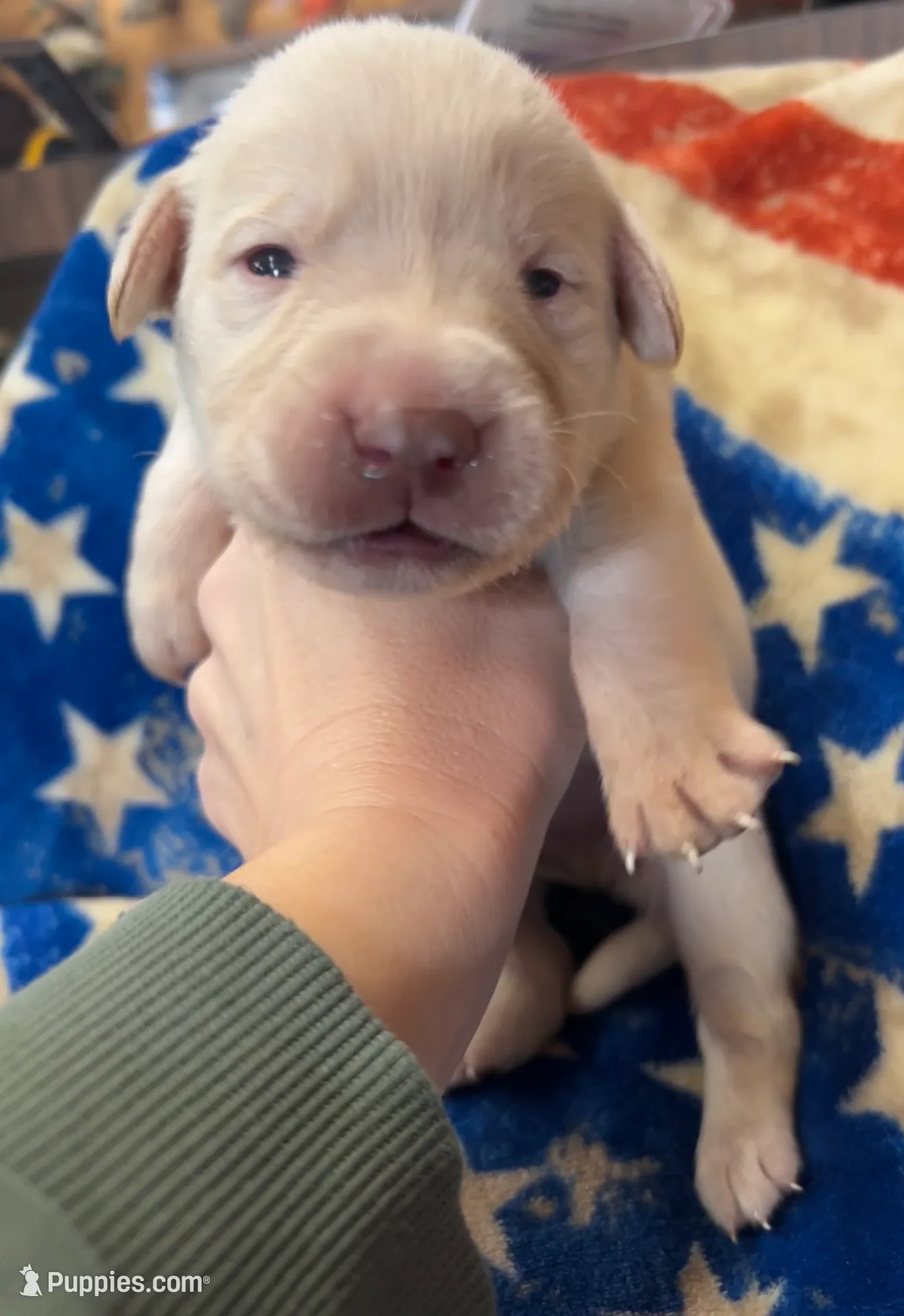 processed/c06e3743-a93a-414f-9a0d-5bd6b33616d9/listing/aff5c68d-c241-4208-a4c1-190be65f8fc7/01921a90-22fd-4305-b8aa-b4f798298b14