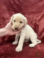 processed/c06e3743-a93a-414f-9a0d-5bd6b33616d9/listing/aff5c68d-c241-4208-a4c1-190be65f8fc7/cf85293d-5b97-499e-a78d-15c3eeef4e6a