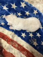 processed/c06e3743-a93a-414f-9a0d-5bd6b33616d9/listing/aff5c68d-c241-4208-a4c1-190be65f8fc7/f64f5db0-2327-4cad-9ad4-103a80564167