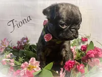 processed/c07f7102-83aa-4f4c-a309-18bc83f7c1df/listing/19bb7f42-3ac2-487e-b2dc-349684fc3dde/7016102b-06f7-423b-9bb3-de4e2dd262a4