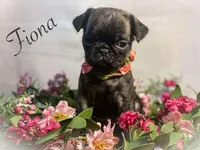 processed/c07f7102-83aa-4f4c-a309-18bc83f7c1df/listing/19bb7f42-3ac2-487e-b2dc-349684fc3dde/b3c2a1c6-175b-48e7-8865-5a4172c27a82