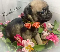 processed/c07f7102-83aa-4f4c-a309-18bc83f7c1df/listing/32861e36-7dee-443a-8eda-a895744e6dc4/1732ef87-9b26-4630-b898-afe05803bd37