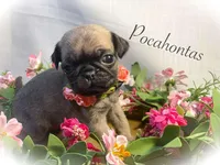 processed/c07f7102-83aa-4f4c-a309-18bc83f7c1df/listing/32861e36-7dee-443a-8eda-a895744e6dc4/367cdccd-35e0-47cc-a116-1d7601d16fb4