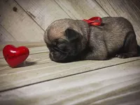 processed/c07f7102-83aa-4f4c-a309-18bc83f7c1df/listing/32861e36-7dee-443a-8eda-a895744e6dc4/56a34611-0a0c-4304-a17c-4c95672b7f60