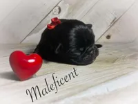 processed/c07f7102-83aa-4f4c-a309-18bc83f7c1df/listing/339eea98-2565-41c6-9135-4c4fd7207f32/2c0dc6af-07ae-49eb-b8b6-1fe0c0bb667a