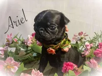 processed/c07f7102-83aa-4f4c-a309-18bc83f7c1df/listing/78deabb9-c591-449b-aa00-07ef34e5c966/ff47870c-c215-4a7a-961a-7ce0d7401dad