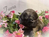 processed/c07f7102-83aa-4f4c-a309-18bc83f7c1df/listing/7dfaeb0b-dcc3-44b8-9c02-bc5bd7bca72d/6fafb868-1b71-4741-ad9f-431f0d528573