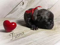 processed/c07f7102-83aa-4f4c-a309-18bc83f7c1df/listing/7dfaeb0b-dcc3-44b8-9c02-bc5bd7bca72d/bc624e95-8c99-4751-b77e-9bc7a11e51b6