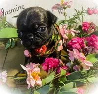 processed/c07f7102-83aa-4f4c-a309-18bc83f7c1df/listing/eebc692c-b4e2-4d7f-9c45-1f98b6fdb015/9c592aec-4762-48d8-b455-b34ee8afeef4