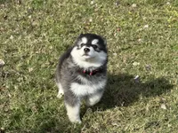 processed/c086be56-912b-4826-ae34-b0f18f6bf82f/listing/29700c53-dab6-4465-aba0-13573065677e/0c1a2e4c-1bf7-46bd-8c11-55f63edd7927