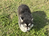 processed/c086be56-912b-4826-ae34-b0f18f6bf82f/listing/29700c53-dab6-4465-aba0-13573065677e/8d67ba40-80ec-4b9f-acd0-320babc5ca04