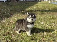 processed/c086be56-912b-4826-ae34-b0f18f6bf82f/listing/29700c53-dab6-4465-aba0-13573065677e/b28545df-e529-439d-9470-fa952afc5929