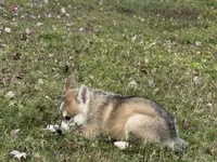 processed/c086be56-912b-4826-ae34-b0f18f6bf82f/listing/314ecd0d-9e20-407d-89fc-90b387bdfb00/00d9c8ab-9f2b-4842-a29b-d1e2b3c0de78