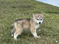 processed/c086be56-912b-4826-ae34-b0f18f6bf82f/listing/314ecd0d-9e20-407d-89fc-90b387bdfb00/b9bdd1ad-82c9-467a-bebf-4765aa333eca