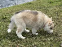 processed/c086be56-912b-4826-ae34-b0f18f6bf82f/listing/9952c9d1-f12f-4251-8140-ab3480017e79/611eb319-a26a-43e7-8ba2-afb31f824d9b