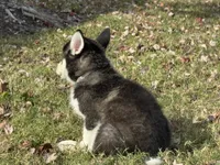 processed/c086be56-912b-4826-ae34-b0f18f6bf82f/listing/c040bcab-9884-422e-841e-966f73aa2fe7/c7d383c3-9748-4a80-a9e1-ea4f8e75bed2