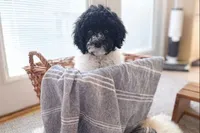 processed/c08c3655-fe86-4ed9-8da1-b571cdbeb28f/listing/6aafe3ec-2a74-4a0d-b98d-c40ae1435b3e/600c1b72-ed5a-4a76-9995-97d46e89def2