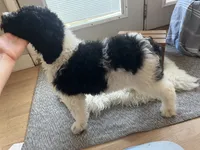 processed/c08c3655-fe86-4ed9-8da1-b571cdbeb28f/listing/6aafe3ec-2a74-4a0d-b98d-c40ae1435b3e/98b455cd-3f00-4e63-9fdd-b9005909b962