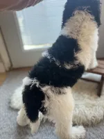 processed/c08c3655-fe86-4ed9-8da1-b571cdbeb28f/listing/6aafe3ec-2a74-4a0d-b98d-c40ae1435b3e/a93a0c9e-261a-4169-9a84-45d7eb8d80a9