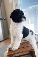 processed/c08c3655-fe86-4ed9-8da1-b571cdbeb28f/listing/6aafe3ec-2a74-4a0d-b98d-c40ae1435b3e/de2d9ef0-8ff5-4209-8c4f-12a7517f3dbd