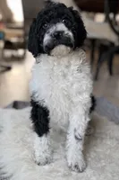 processed/c08c3655-fe86-4ed9-8da1-b571cdbeb28f/listing/fc7aecc4-fbd7-4809-9c9b-ae1cfedf23e6/95097fc1-b841-44a2-9079-a3c8dbafd156