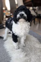 processed/c08c3655-fe86-4ed9-8da1-b571cdbeb28f/listing/fc7aecc4-fbd7-4809-9c9b-ae1cfedf23e6/f02036e9-9182-4172-9a72-81ba998619d9