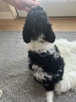 processed/c08c3655-fe86-4ed9-8da1-b571cdbeb28f/listing/fc7aecc4-fbd7-4809-9c9b-ae1cfedf23e6/f990cfab-517c-43a1-93b2-3de36fd05715