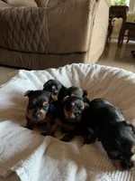 processed/c08dee28-5214-4dda-9fdb-5a92e9468d6a/facility/010bb15f-3aa3-4ef3-8820-5913f5e7cb28