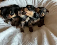 processed/c08dee28-5214-4dda-9fdb-5a92e9468d6a/facility/240be1b9-38c3-4de7-ae37-b80ccf510424