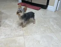 processed/c08dee28-5214-4dda-9fdb-5a92e9468d6a/facility/2ad23d66-ff93-4047-a27b-d4a361c4b444