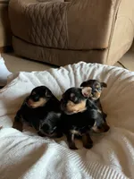 processed/c08dee28-5214-4dda-9fdb-5a92e9468d6a/facility/9138f287-67e8-448a-b36d-0a743e0d213c