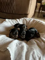 processed/c08dee28-5214-4dda-9fdb-5a92e9468d6a/facility/b82cbeeb-d176-4646-baa4-eda4311d2437