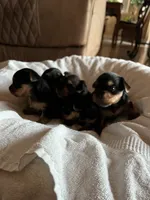 processed/c08dee28-5214-4dda-9fdb-5a92e9468d6a/facility/eeb7c0f0-42b8-4b3e-9c03-c366ad455a38