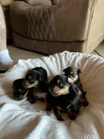 processed/c08dee28-5214-4dda-9fdb-5a92e9468d6a/facility/f8aaca7e-23e5-424c-a1c6-c76ac320e480