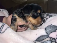 processed/c08dee28-5214-4dda-9fdb-5a92e9468d6a/listing/5ca6f196-04d2-4b0d-84e6-a8c254b8e675/6ee1c071-b41e-4a1c-b1be-b21f5334379d