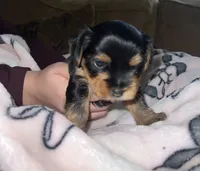 processed/c08dee28-5214-4dda-9fdb-5a92e9468d6a/listing/5ca6f196-04d2-4b0d-84e6-a8c254b8e675/888af516-2d1c-4539-9279-3471949aeba6