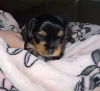 processed/c08dee28-5214-4dda-9fdb-5a92e9468d6a/listing/5ca6f196-04d2-4b0d-84e6-a8c254b8e675/8dcd901d-8093-4d04-ba20-f0bbd84e023b