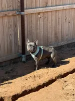 Facility photo