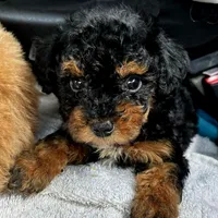 processed/c09281d4-0c1a-4528-800b-8f17df0df529/facility/30e7f045-9fa9-460d-b145-342fccf8c933