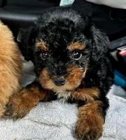 processed/c09281d4-0c1a-4528-800b-8f17df0df529/facility/30e7f045-9fa9-460d-b145-342fccf8c933