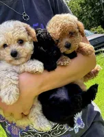 processed/c09281d4-0c1a-4528-800b-8f17df0df529/facility/3e219606-0ca6-4e7f-bcc7-fa2cdef1693a