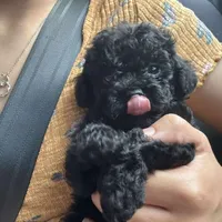 processed/c09281d4-0c1a-4528-800b-8f17df0df529/facility/471befa4-e5a6-4481-a9a3-f5b3eec4aec2