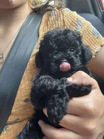 processed/c09281d4-0c1a-4528-800b-8f17df0df529/facility/471befa4-e5a6-4481-a9a3-f5b3eec4aec2