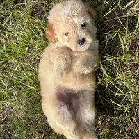 processed/c09281d4-0c1a-4528-800b-8f17df0df529/facility/4a724d8c-ec04-473c-89d9-5b2ad139ea65