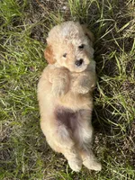 processed/c09281d4-0c1a-4528-800b-8f17df0df529/facility/4a724d8c-ec04-473c-89d9-5b2ad139ea65